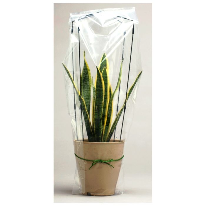 渡辺タイ　ミニ温室 鉢用(4ー10号)の説明画像2