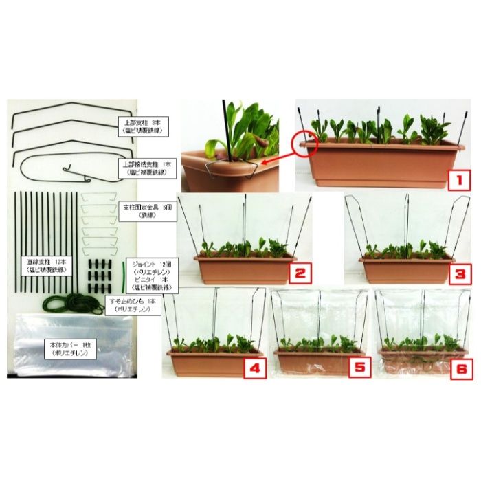 渡辺タイ　ミニ温室 プランター用の説明画像3