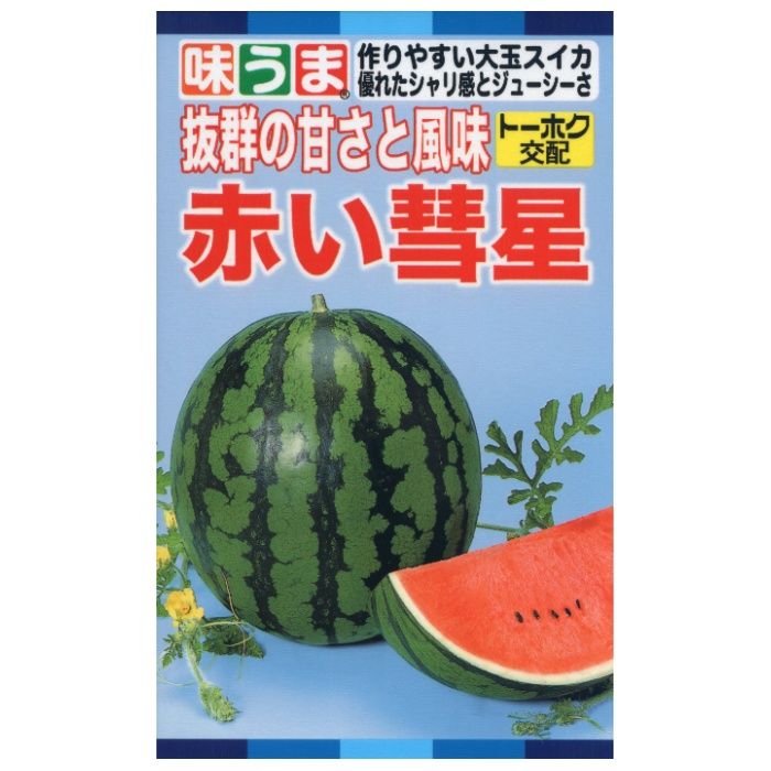 スイカ 赤い彗星