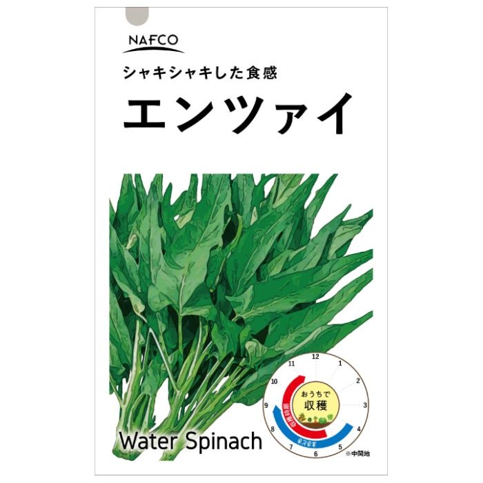 アタリヤ農園 おうちで収穫　野菜の種 エンツァイ