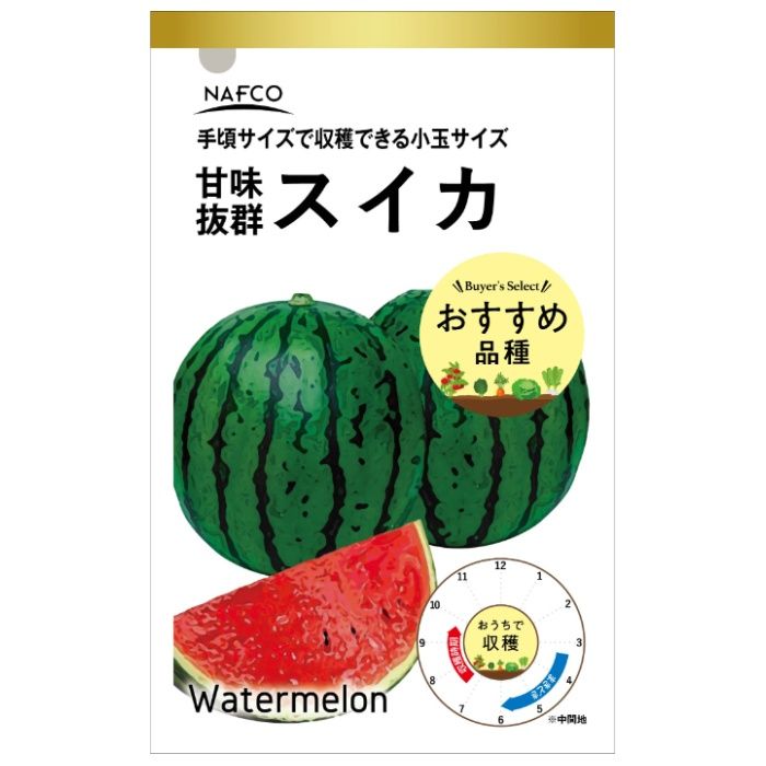 アタリヤ農園 おうちで収穫　野菜の種 スイカ
