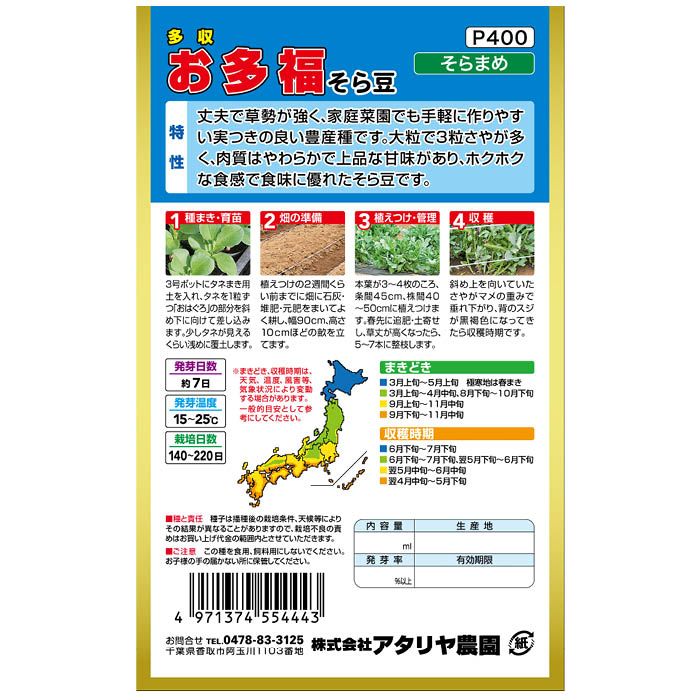 アタリヤ農園 大容量多収お多福そら豆 ＜豆の種＞の説明画像2