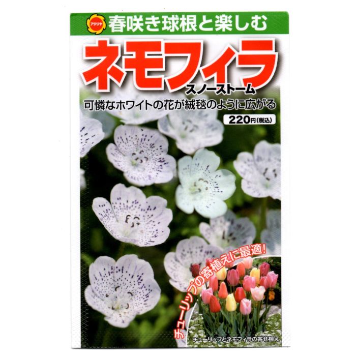 アタリヤ農園 ネモフィラ スノーストーム ＜景観植物の種＞の通販