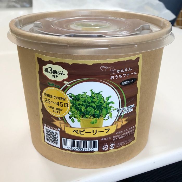 フォレスト かんたんおうちファーム ベリーリーフ