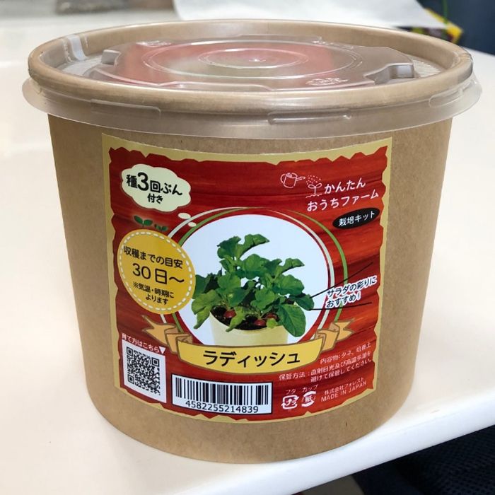 フォレスト かんたんおうちファーム ラディッシュ