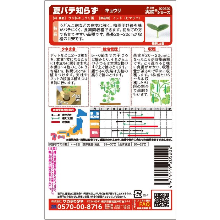 サカタのタネ キュウリ おうち野菜　夏バテ知らずの説明画像2