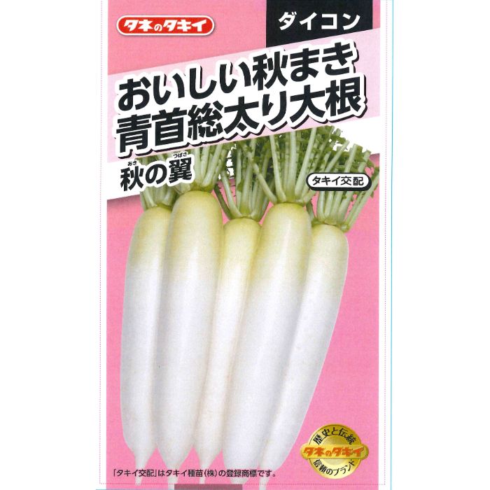 タキイ種苗 ダイコン おいしい秋まき青首総太り大根　秋の翼