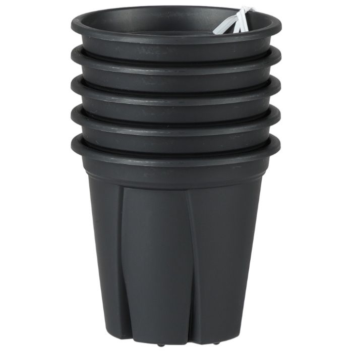 アップル 根っこつよし3号 ブラック5P