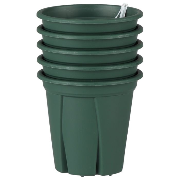 アップル 根っこつよし3号 グリーン5P