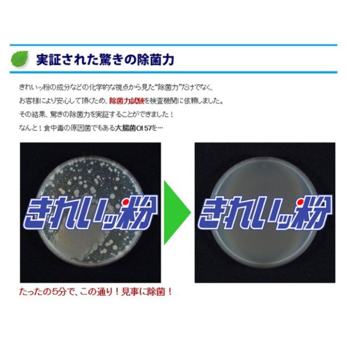 れもんキレイDiv きれいッ粉 1kg 過炭酸ナトリウム(酸素系)洗浄剤の説明画像6