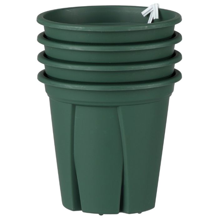 アップル 根っこつよし3.5号 グリーン4P