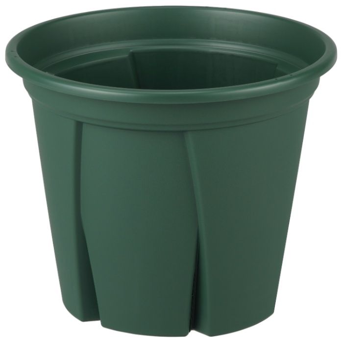 アップル 根っこつよし7号 グリーン