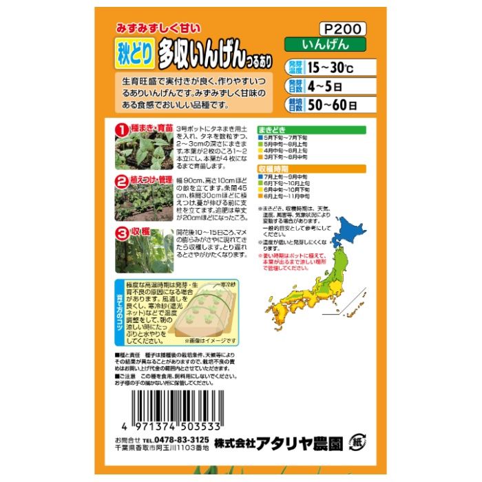 アタリヤ農園 インゲン 秋どり多収いんげん　つるありの説明画像2
