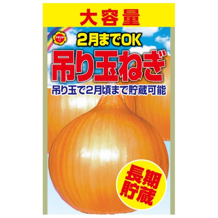 タマネギ 大容量吊り玉ねぎ