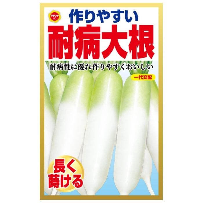 ダイコン 作りやすい耐病大根