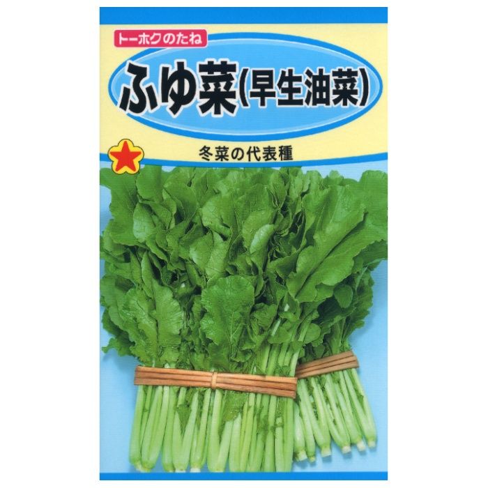 ヨウサイルイ ふゆ菜