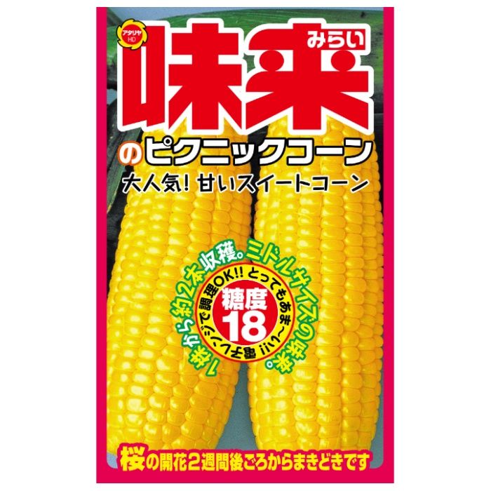 アタリヤ農園 トウモロコシ 味来ピクニック