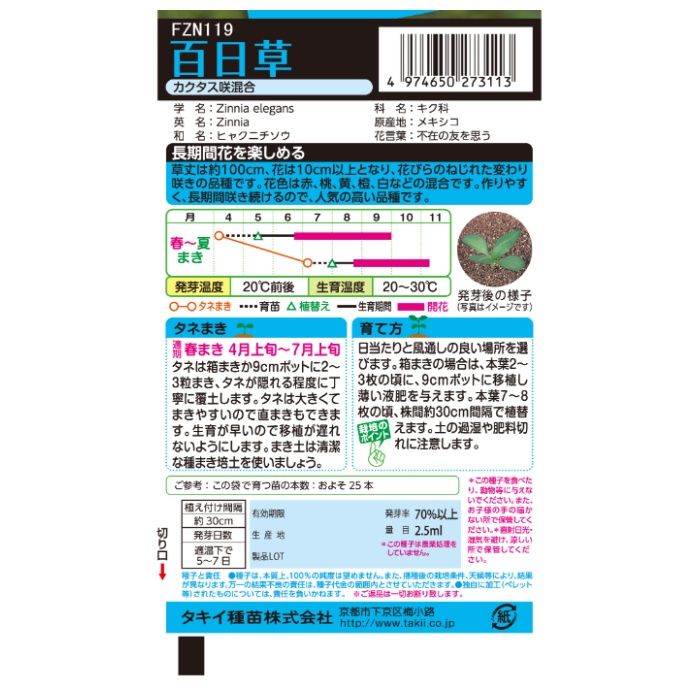 タキイ種苗 ジニア(百日草) カクタス咲混合の説明画像2