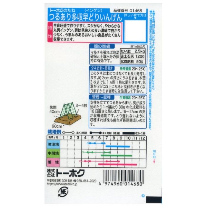 インゲン つるありつるあり多収早どりいんげんの説明画像2