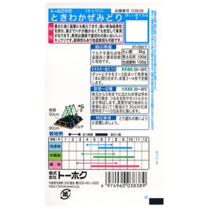キュウリ ときわかぜみどり　おてごろの説明画像2
