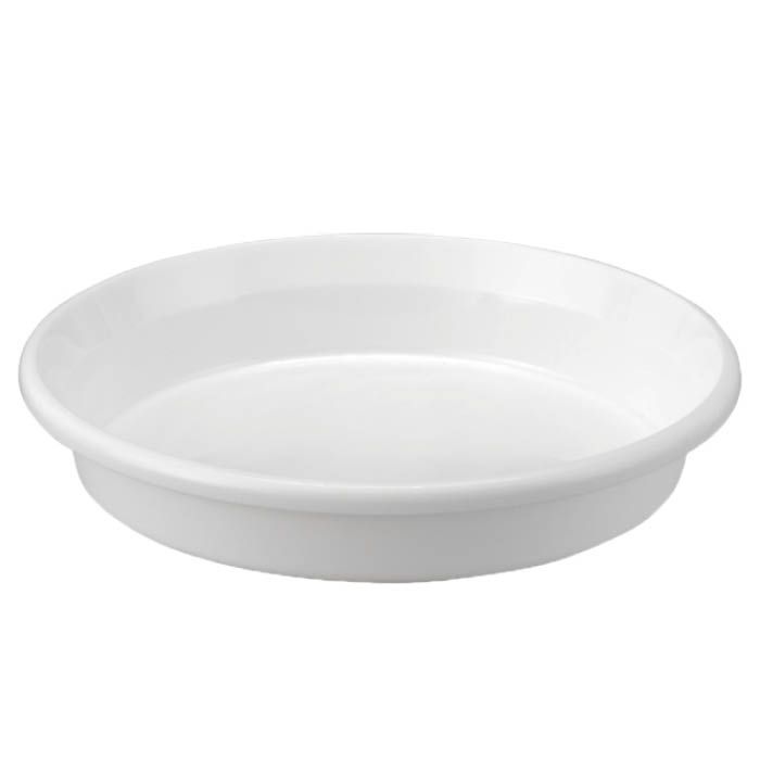 アップル 鉢皿F型　ホワイト 6号