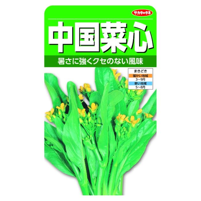 サカタのタネ 中国菜心