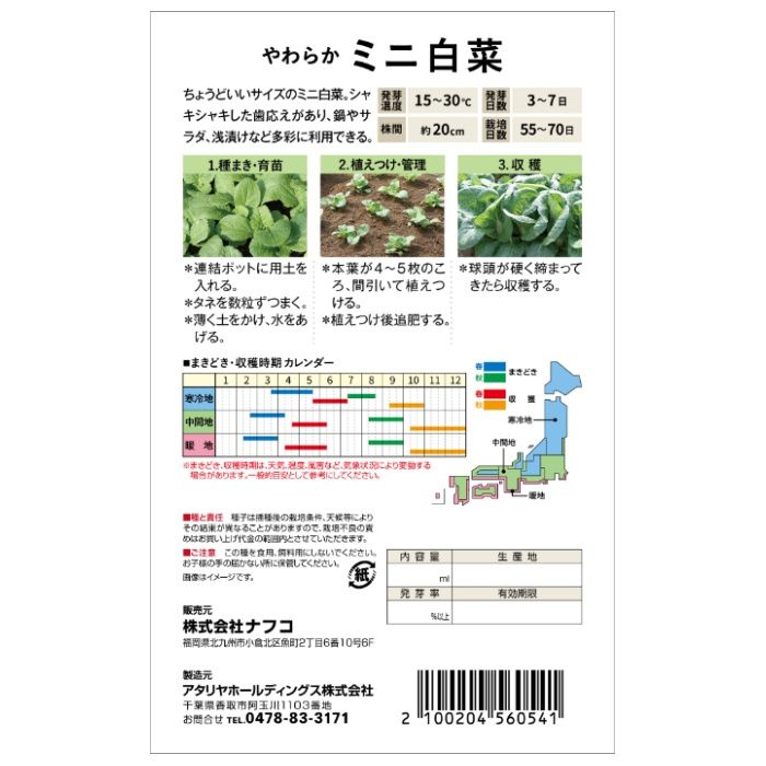 おうちで収穫　野菜の種 ミニ白菜の説明画像2