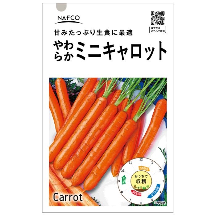 おうちで収穫　野菜の種 ミニキャロット