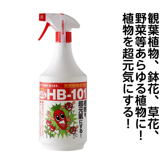 HB101 1L