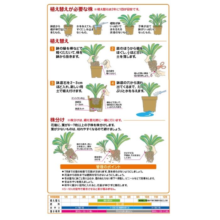 花ごころ クンシランの土 10Lの説明画像3