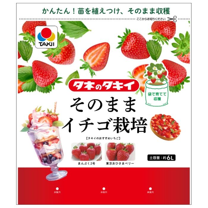 タキイ種苗 そのままイチゴ栽培 約6L