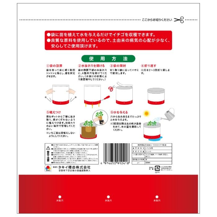 タキイ種苗 そのままイチゴ栽培 約6Lの説明画像2