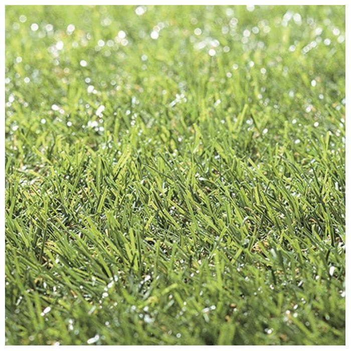 Nリアル人工芝20mm裏巻 1m×10m20ミリの説明画像2