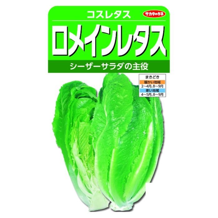 サカタのタネ ロメインレタス