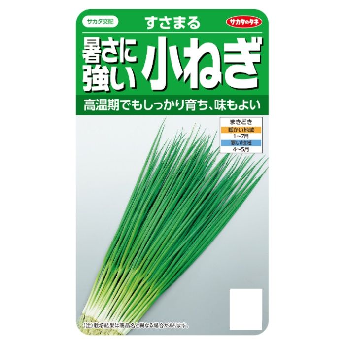 サカタのタネ 暑さに強い小ねぎ すさまる