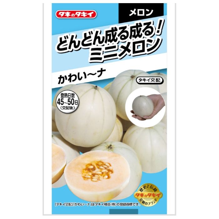 タキイ種苗 メロン・ウリ どんどん成る成る!ミニメロン