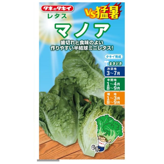 タキイ種苗 レタス・リーフレタス VS猛暑　レタス　マノア