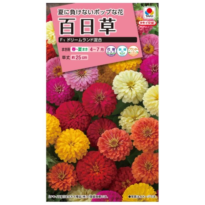 タキイ種苗 ジニア(百日草) 百日草F1ドリームランド混合