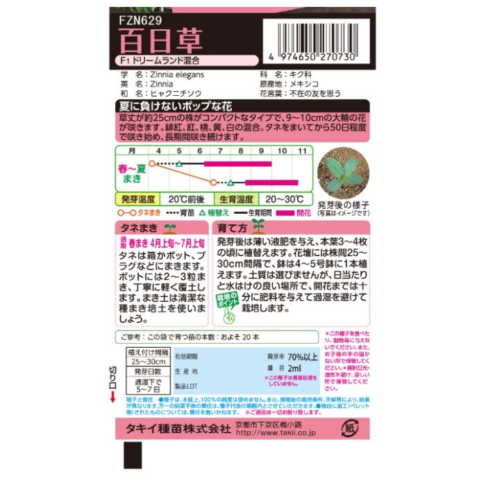 タキイ種苗 ジニア(百日草) 百日草F1ドリームランド混合の説明画像2