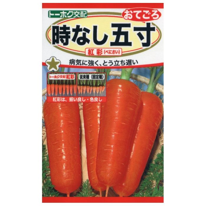ニンジン 時なし五寸　紅彩　おてごろ