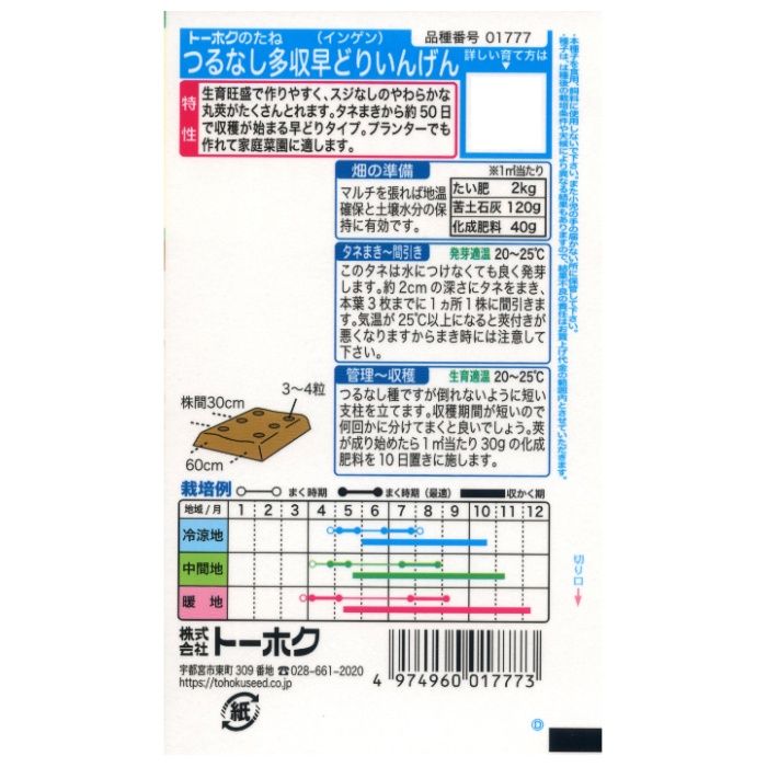 インゲン つるなし多収早どりいんげんの説明画像2