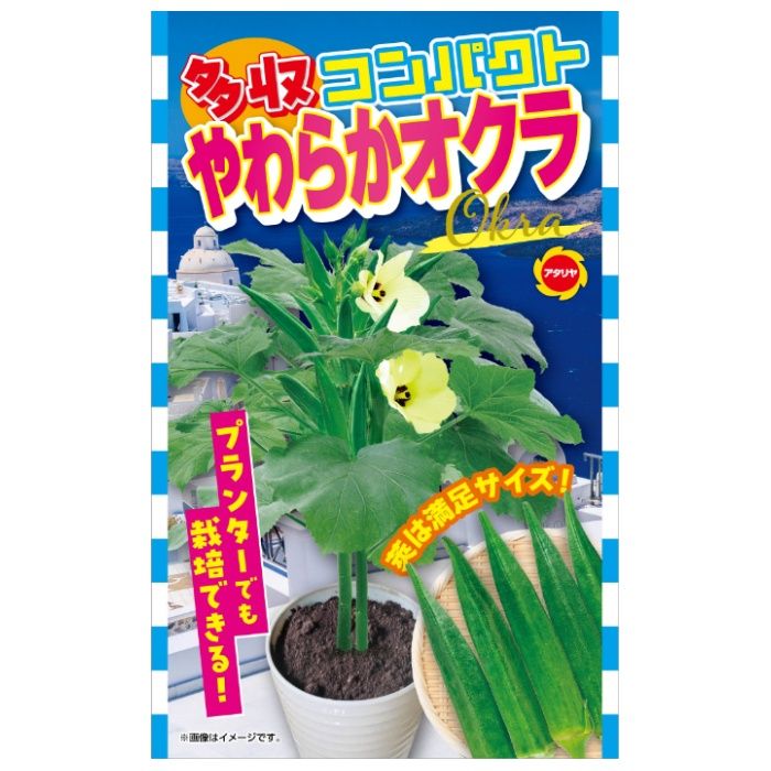 アタリヤ農園 オクラ コンパクト　オクラ