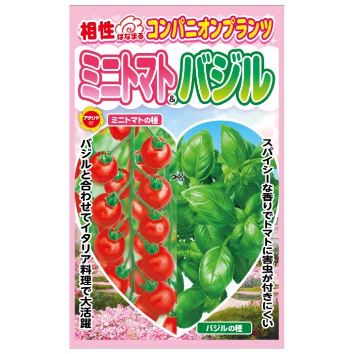 アタリヤ農園 コンパニオンプランツ ミニトマト&バジル