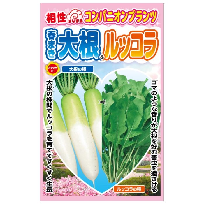 アタリヤ農園 コンパニオンプランツ 春まき大根&ルッコラ