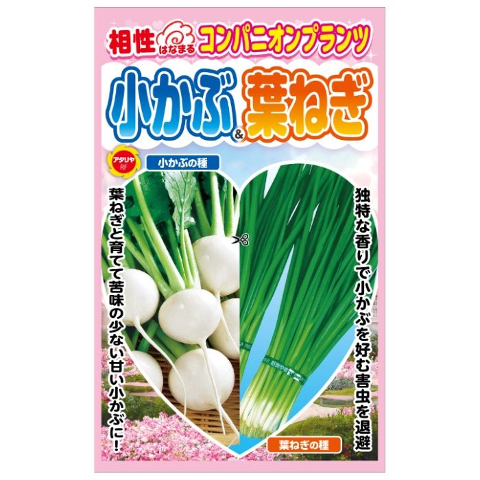アタリヤ農園 コンパニオンプランツ 小かぶ&葉ねぎ