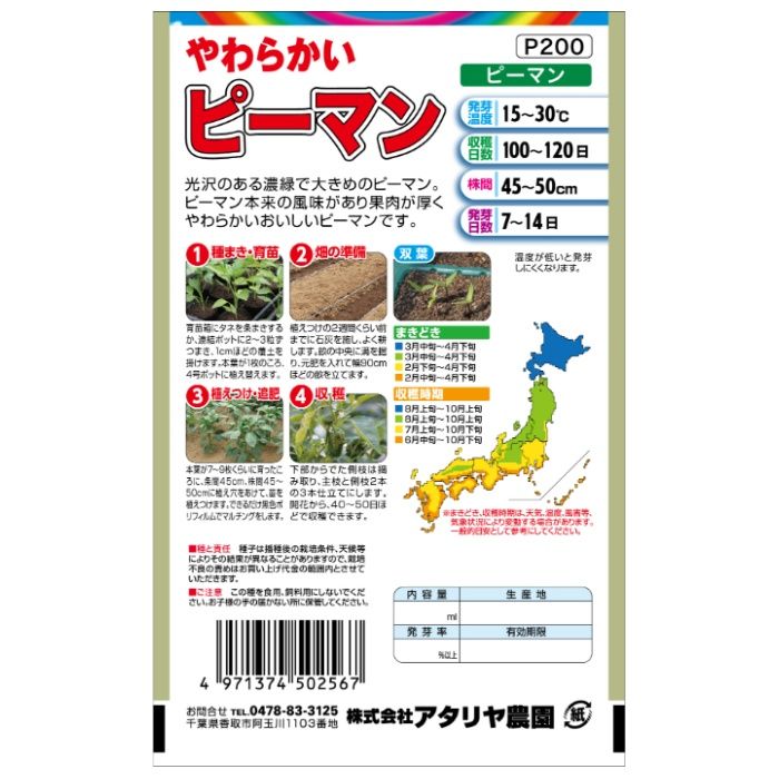 アタリヤ農園 ピーマン ピーマンの説明画像2