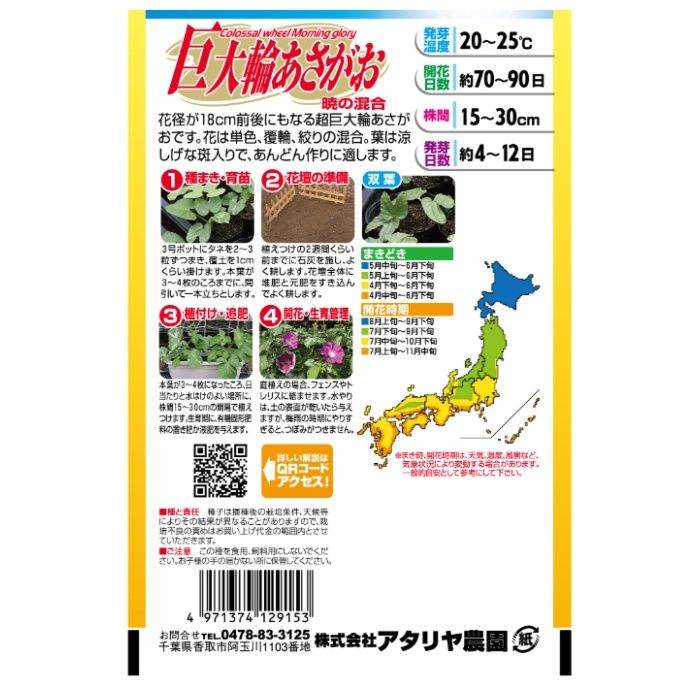 アタリヤ農園 アサガオ あさがお　暁の混合の説明画像2