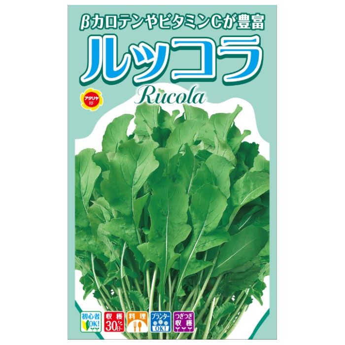 アタリヤ農園 ハーブ ルッコラ