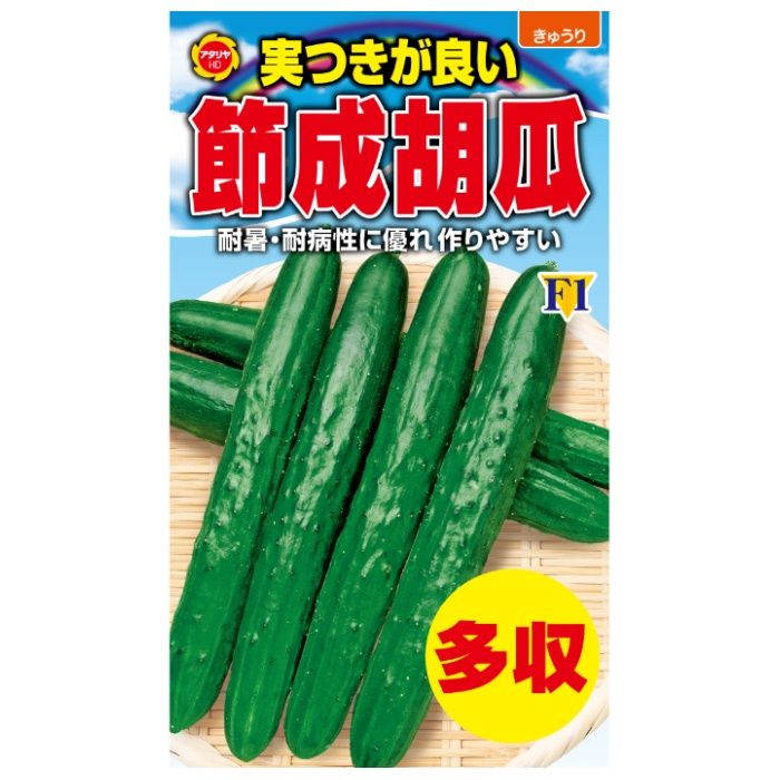 アタリヤ農園 キュウリ 実付きが良い　節成胡瓜