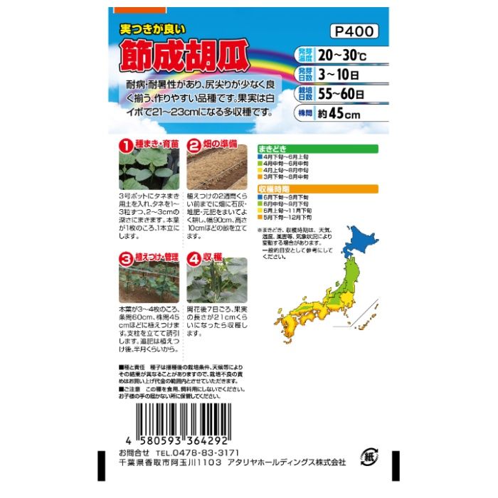 アタリヤ農園 キュウリ 実付きが良い　節成胡瓜の説明画像2